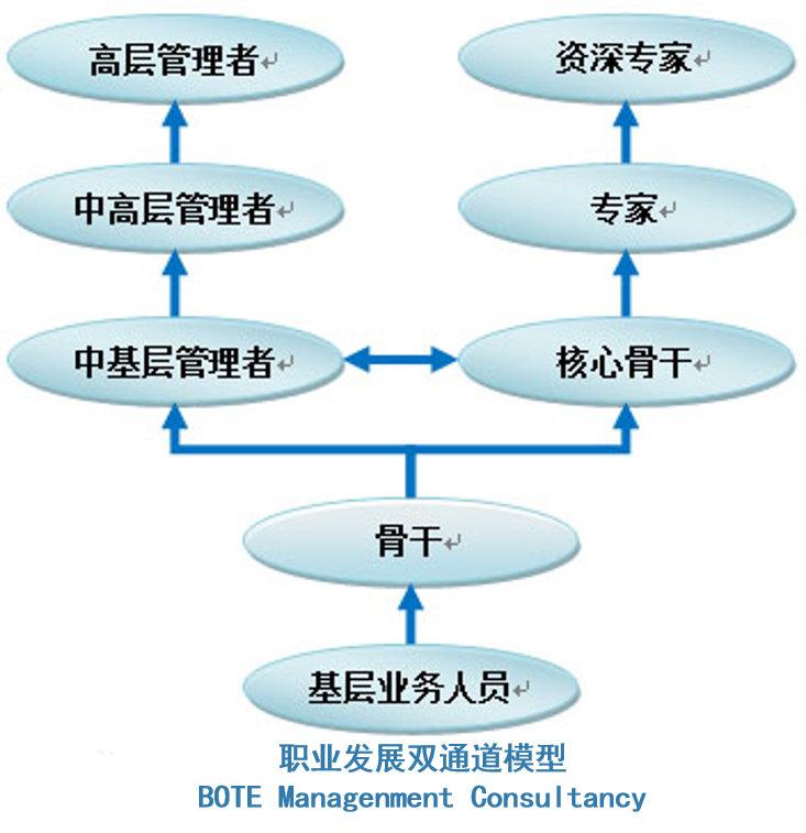 西北人口信息中心_...开综合治理出生人口性别比联席会议