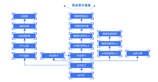 职业晋升通道